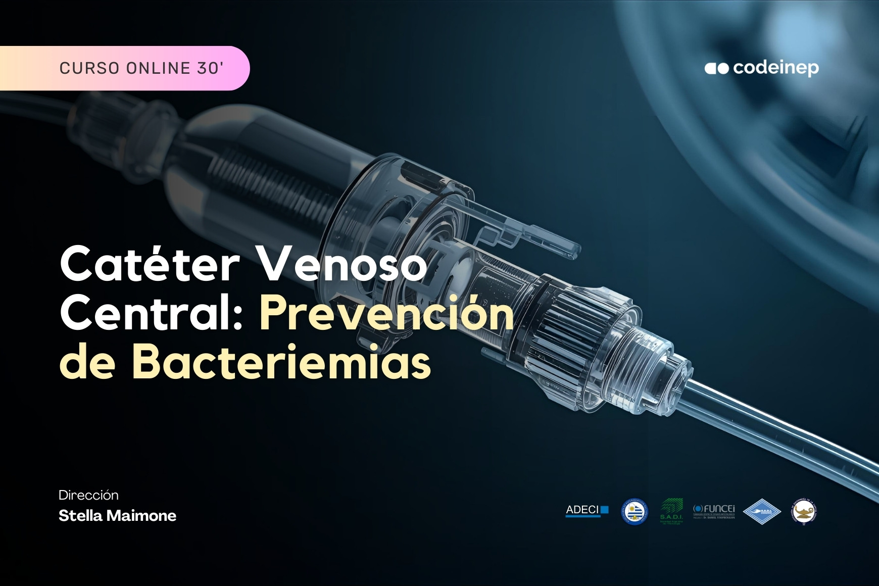 cateter venoso central preencion de bacteriemias