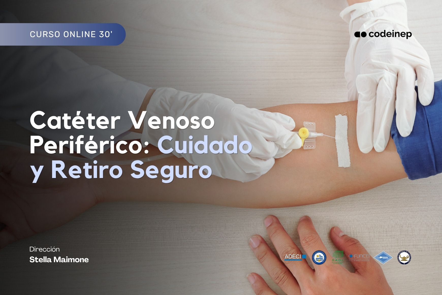 cateter venoso central preencion de bacteriemias